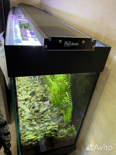 Аквариум