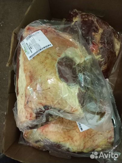 Продам мясо говядина