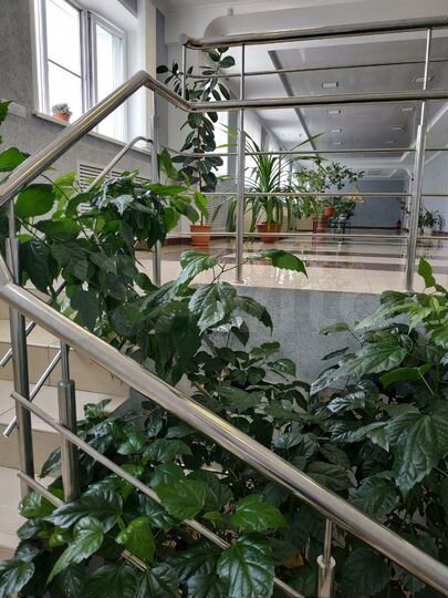 Свободного назначения, 341.4м² в центре Ст.Шайгово