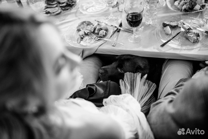 Свадебный координатор