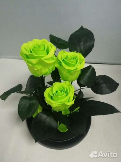 Роза в колбе оптом и в розницу