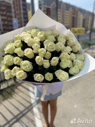 Роза 101, 51 Эквадор высота 40,50,60,70,80,90см