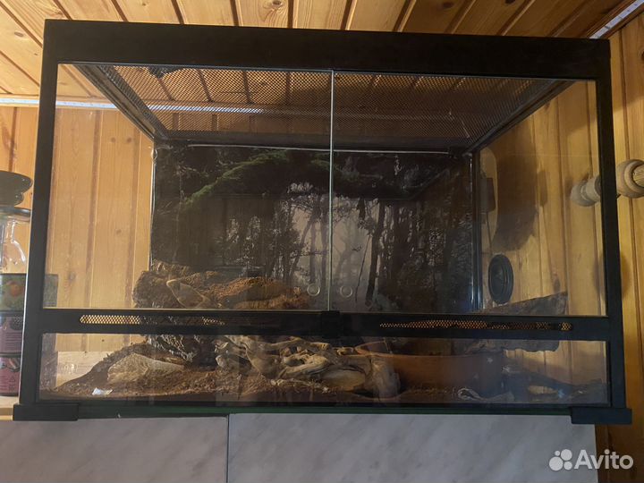 Террариум для рептилий