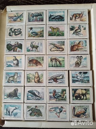 Спички Сувенирный набор. Занесены в красную книгу