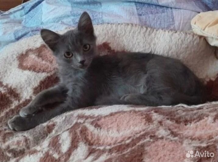 Бездомный малыш