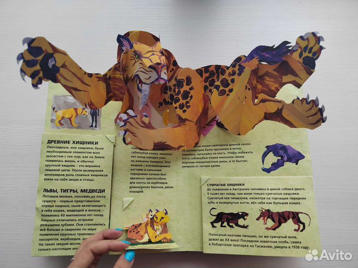 Роберт Сабуда и Мэтью Рейнхарт. Звери энциклопедия