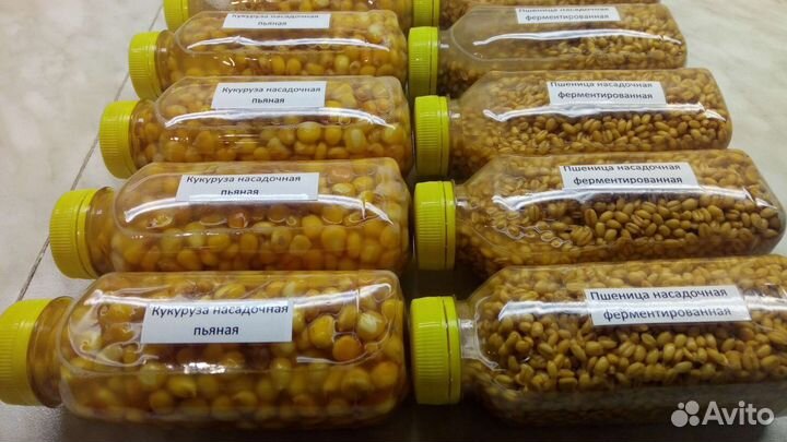 Перловка насадочная