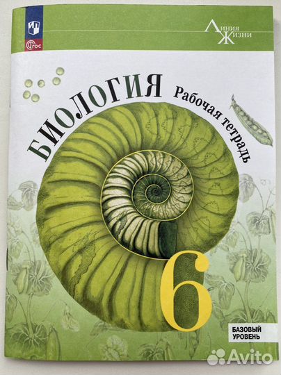 Рабочая тетрадь по биологии 6 класс пасечник