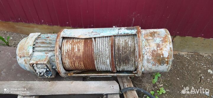 Тельфер болгарский