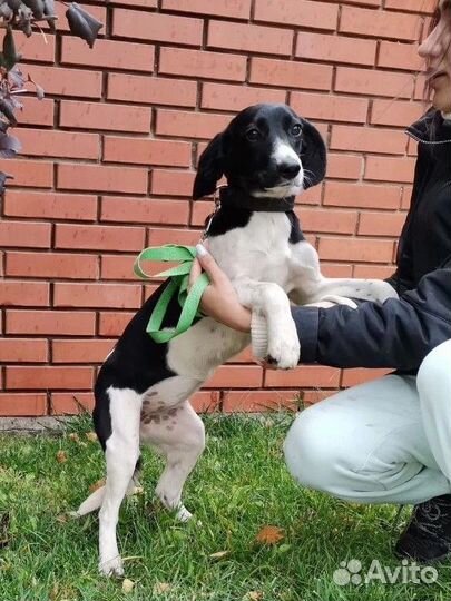 Совсем крошка