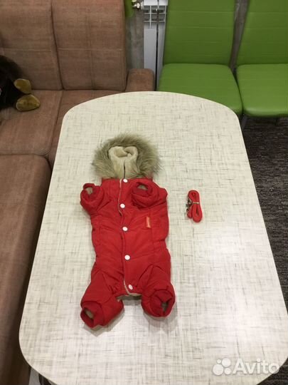 Комбинезон зимний на меху для мелких пород собак