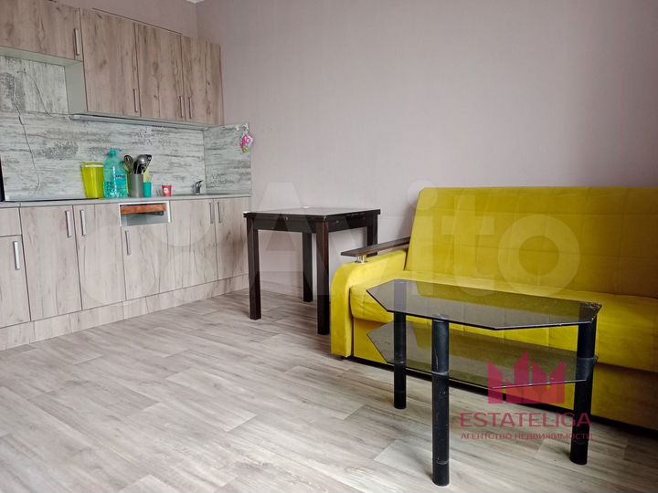 Квартира-студия, 24 м², 13/17 эт.