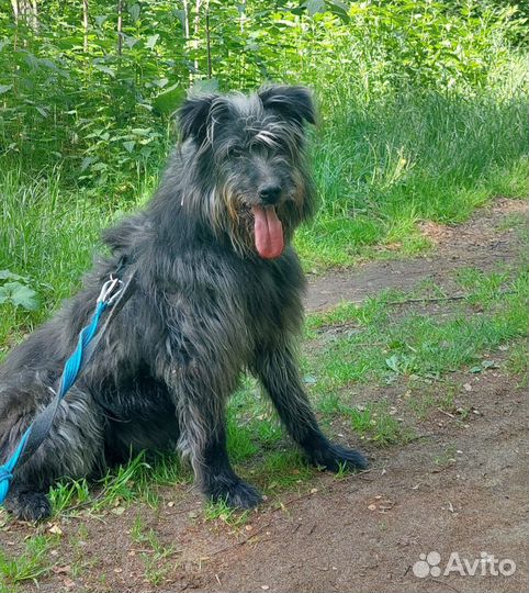 Бесси ждёт гостей