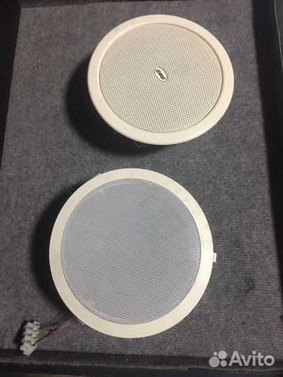 Трансляционные колонки apart cm6t abk wa 112