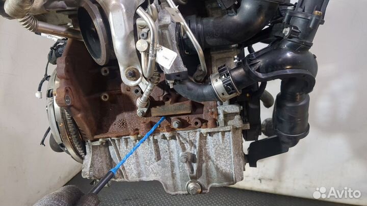 Двигатель Ford Focus 4 2018, 2019