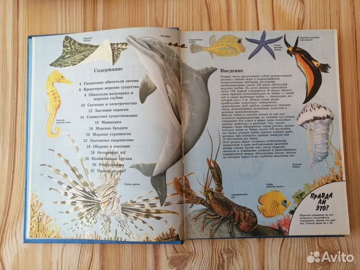 Детская энциклопедия