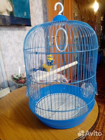 Клетка для разных птиц