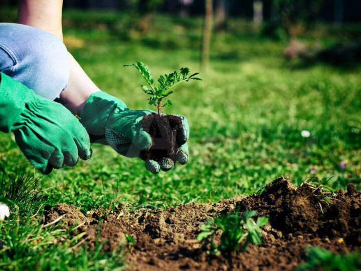 Дом 55,1 м² на участке 7,4 сот.