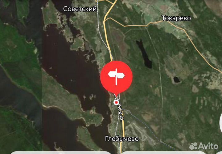 Яйца домашние куриные