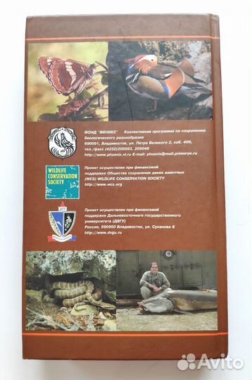 Животный мир Уссурийской тайги. Полевой атлас