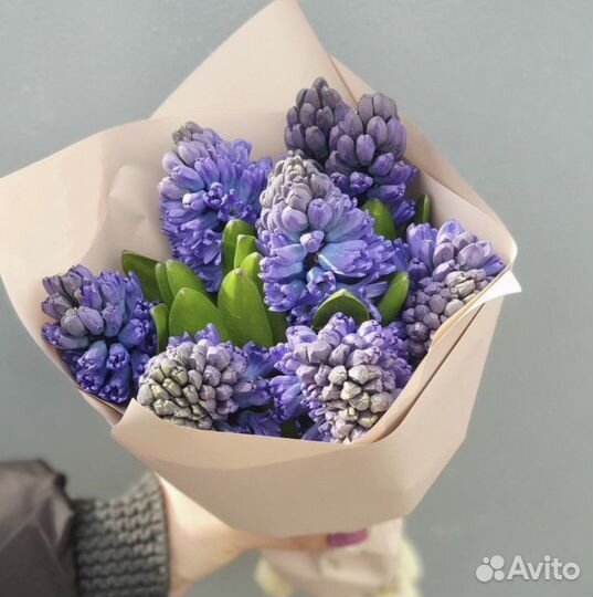 Гиацинты букет