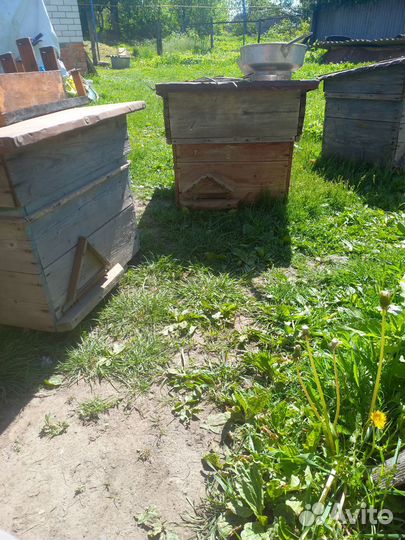 Ульи, рамки