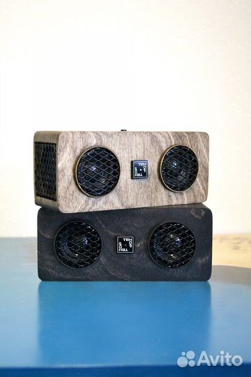 Беспроводная колонка «Тенор»