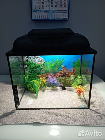 Аквариум