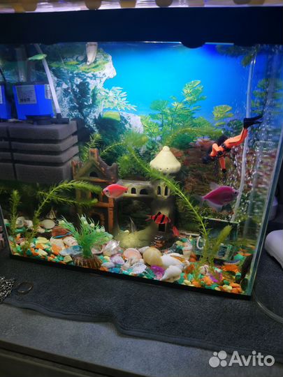 Аквариум