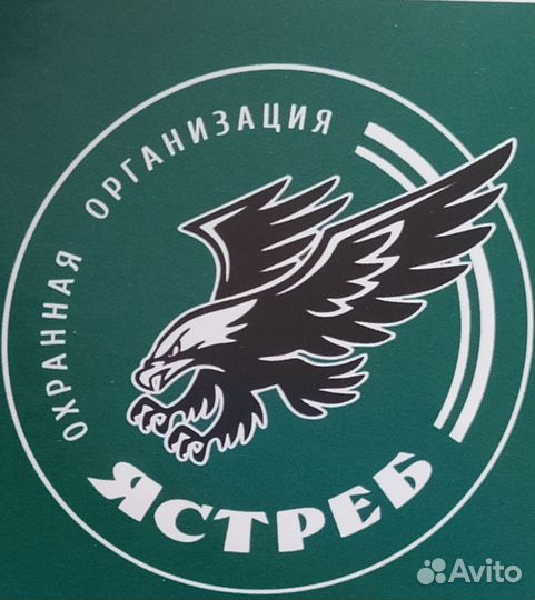 Охранник с питанием