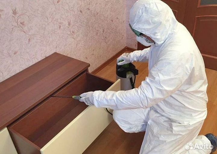 Средство для Уничтожения тараканов клопов клещей плесени