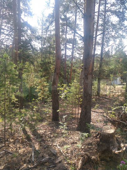 Участок 11,8 сот. (ИЖС)