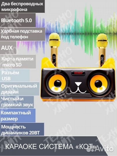 SD 305 bluetooth колонка-караоке с микрофонами