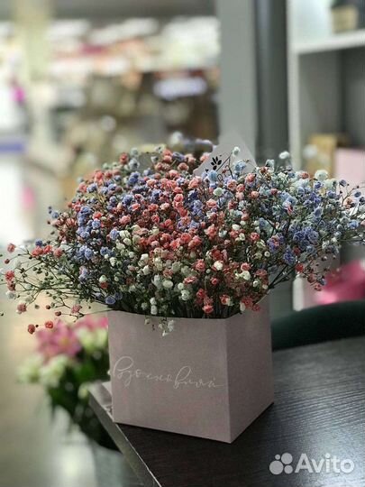 Гипсофила букет