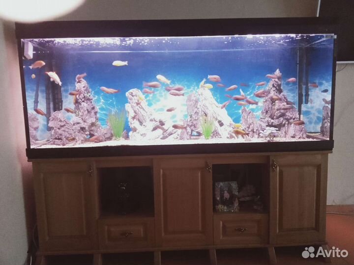 Аквариум