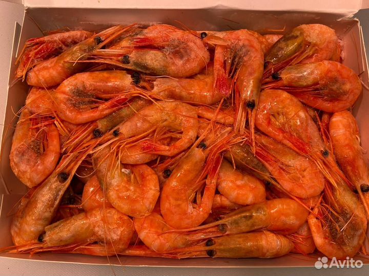Креветка северная. Доставка. В любой город