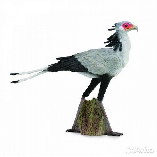 Птица секретарь 88796b