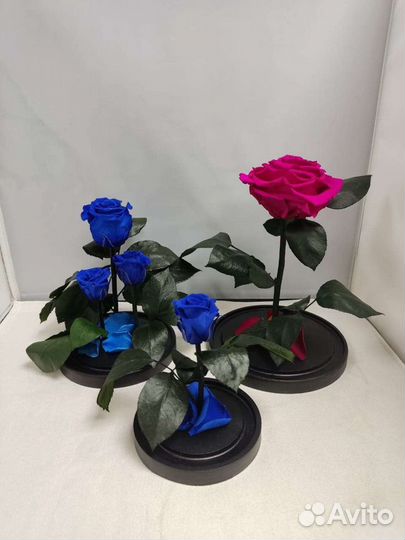 Роза в колбе