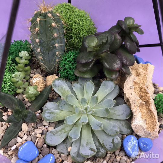 Любимому учителю