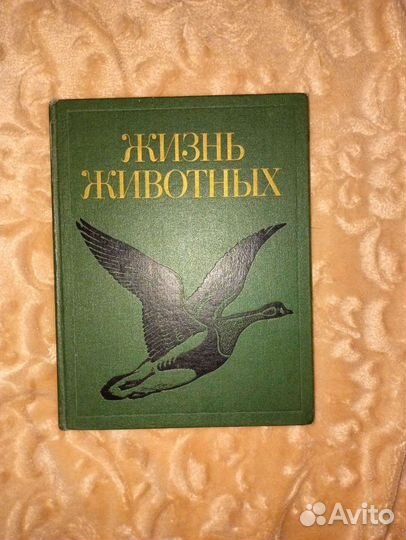 Энциклопедии Жизнь Животных