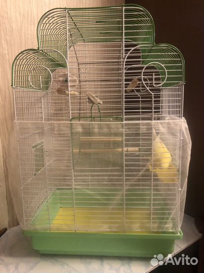 Волнистые попугаи с клеткой