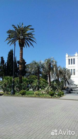 Индивидуальные экскурсии в Абхазию