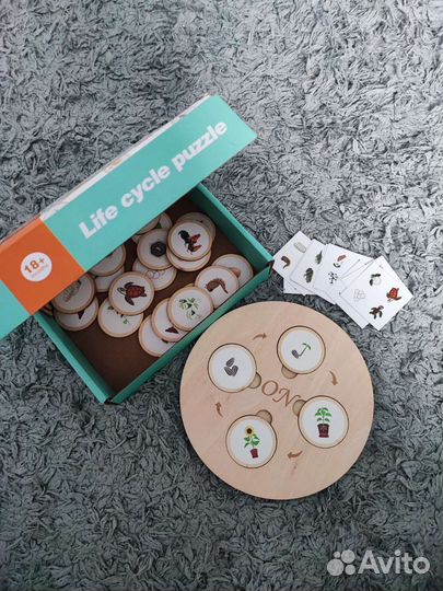 Развивающие игрушки Цикл Жизни