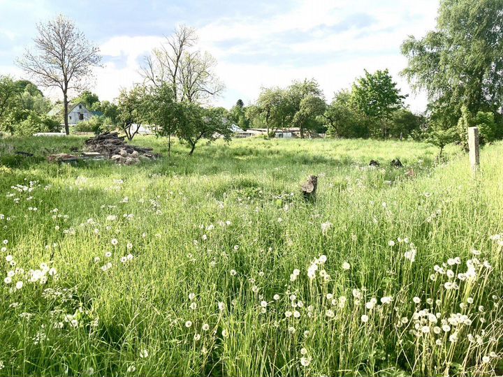 Участок 6 сот. (ИЖС)