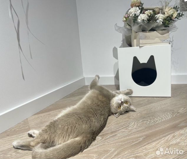 Домик для кошки IKEA