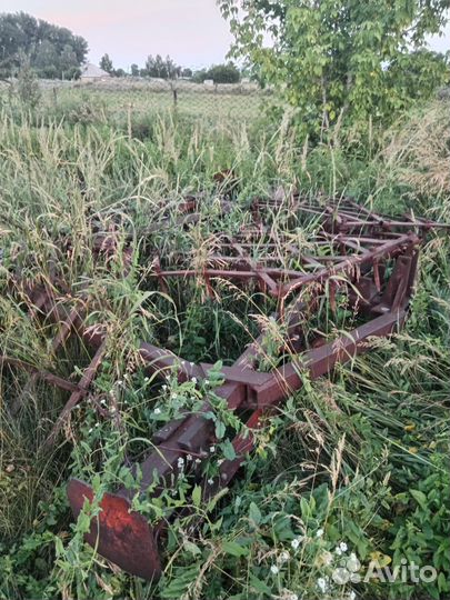 Биг борона игольчатая