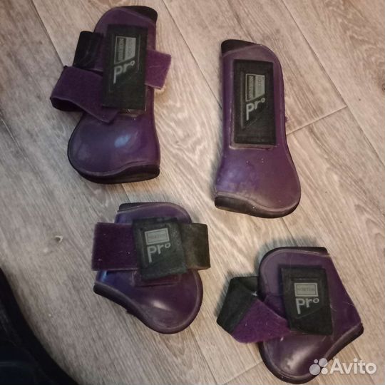 Амуниция для лошади и всадника