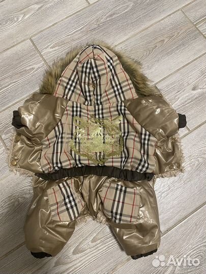 Одежда для собак