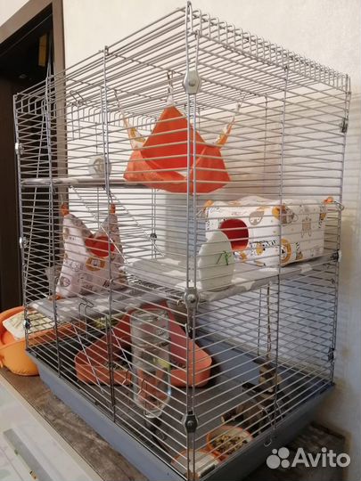 Клетки для грызунов новые