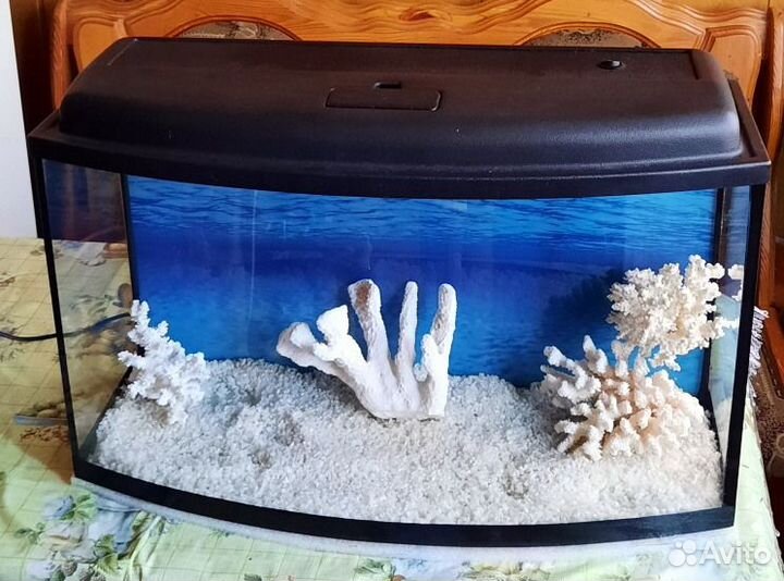 Аквариум панорамный с освещением